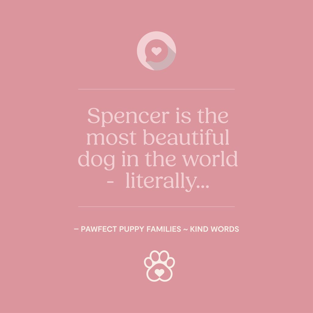 Pawfect Puppies_Website_Testimonials_01