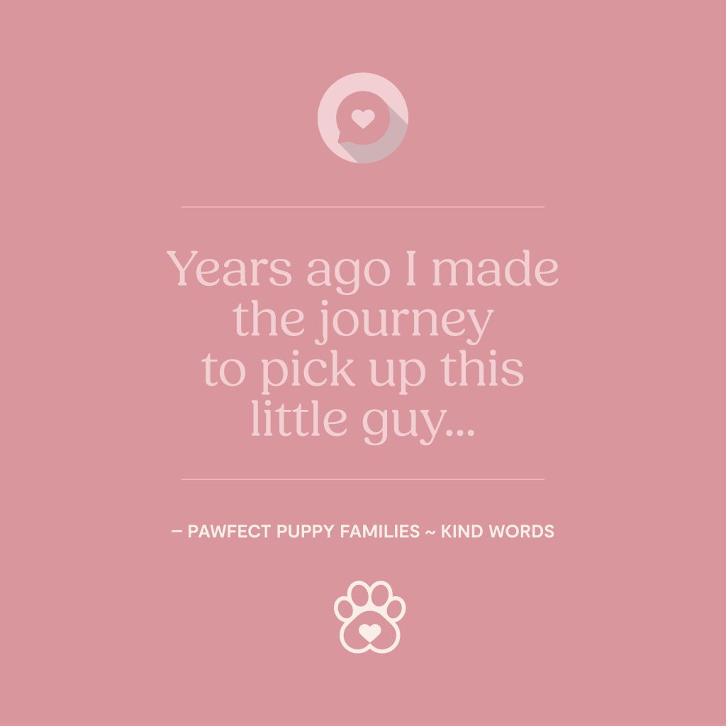 Pawfect Puppies_Website_Testimonials_02