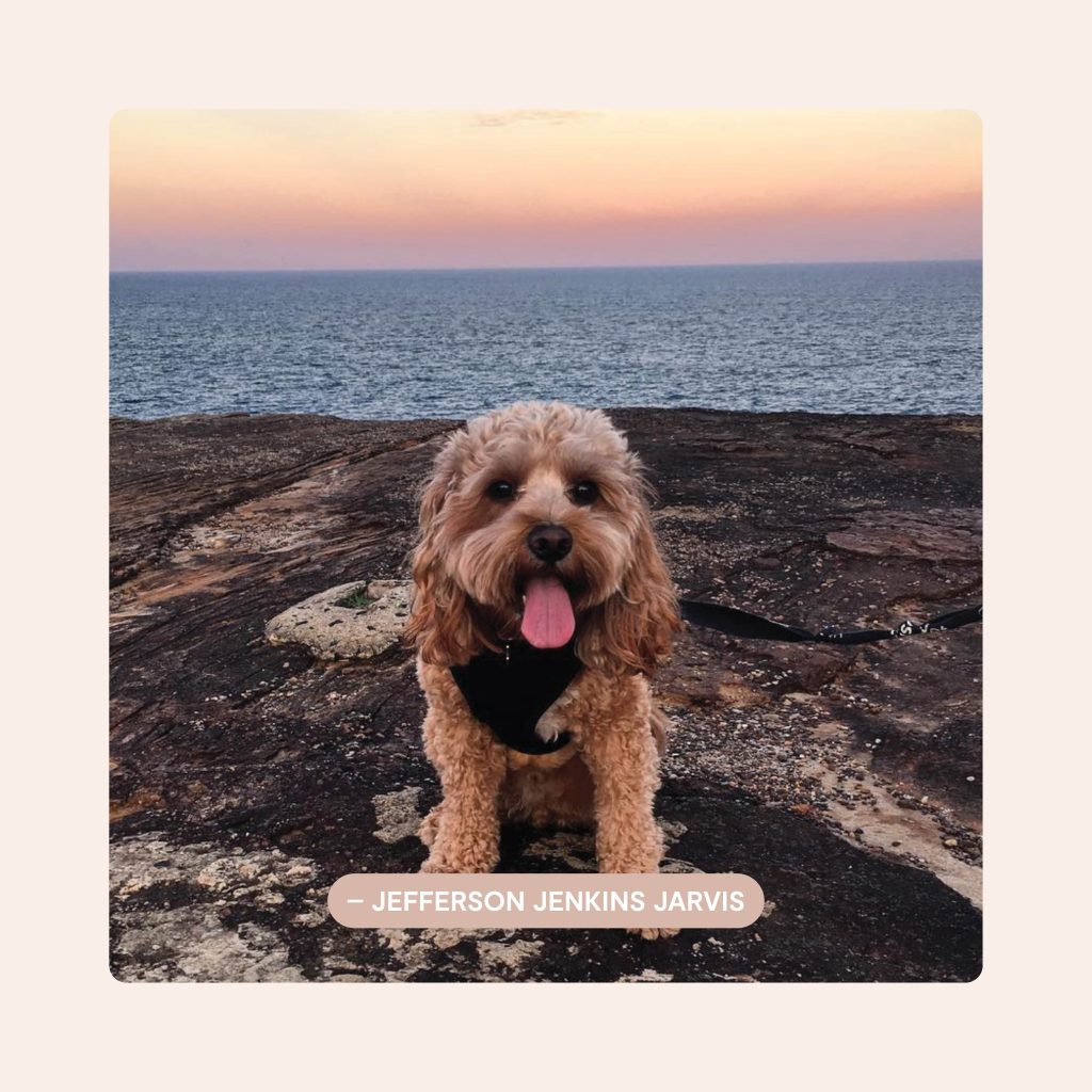 Pawfect Puppies_Website_Testimonials_02.3