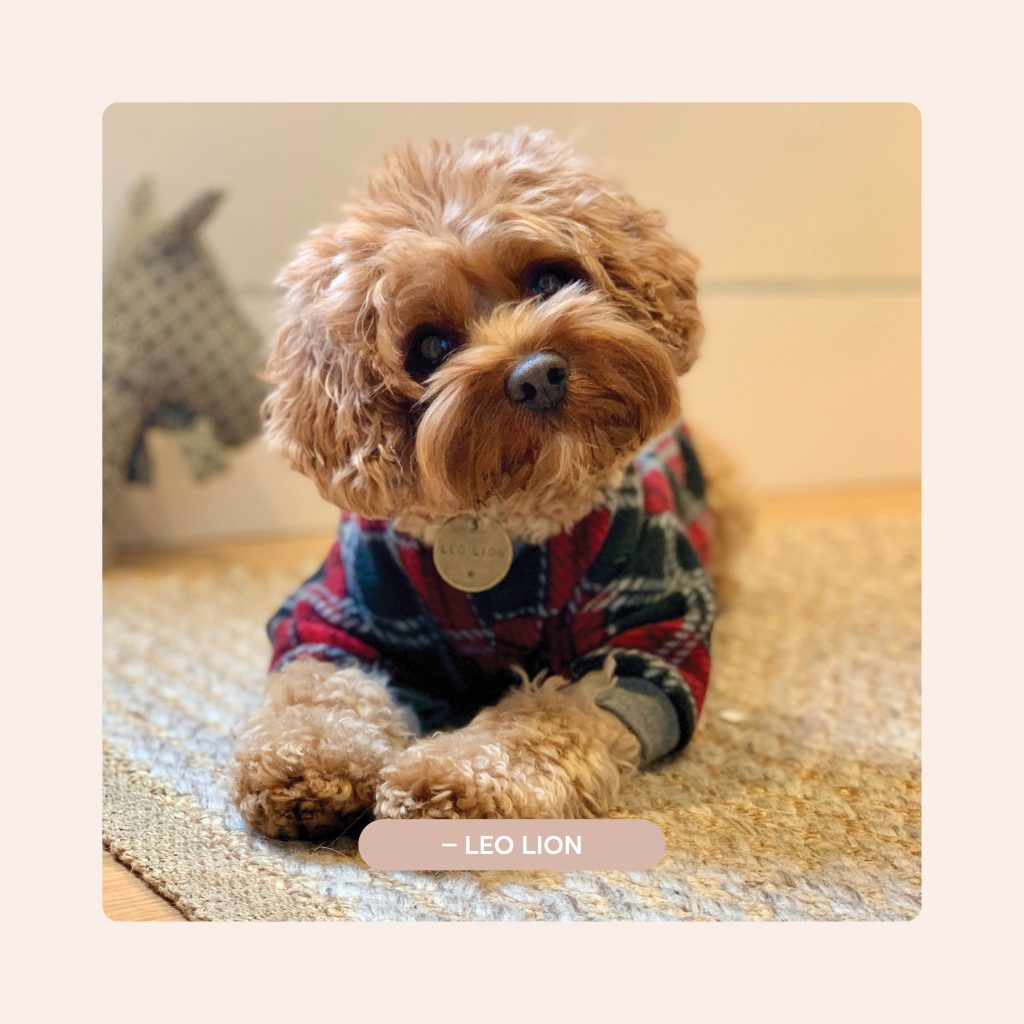 Pawfect Puppies_Website_Testimonials_03.4