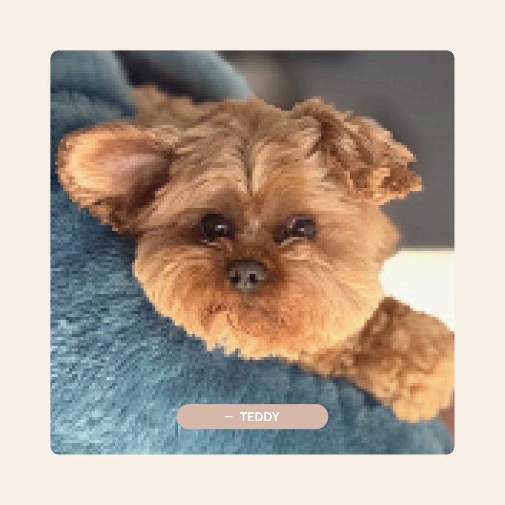 Pawfect Puppies_Website_Testimonials_04.4